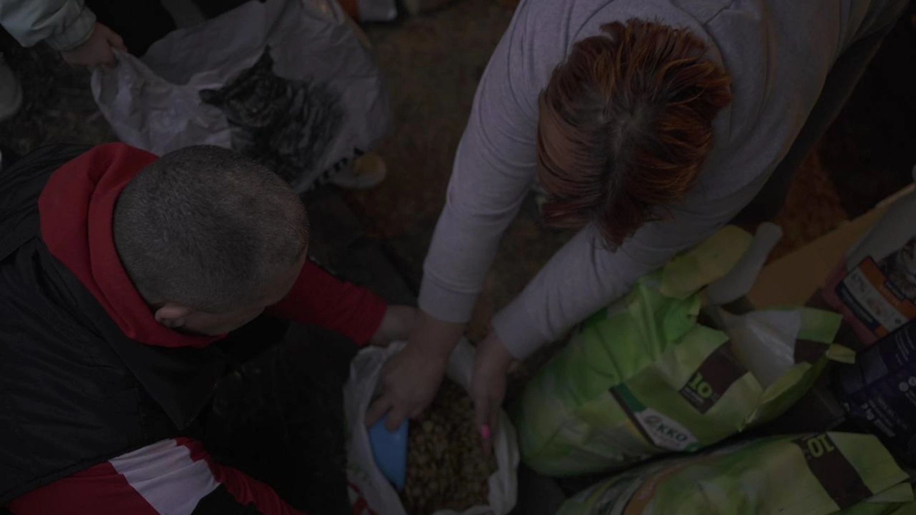 UAnimals delivered 4.7 tons of feed and treatment to animals in the frontline areas