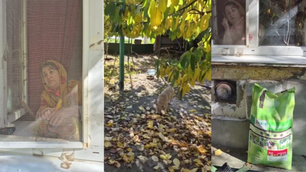 UAnimals передали понат 4,7 тонни корму та обробки тваринам у прифронті