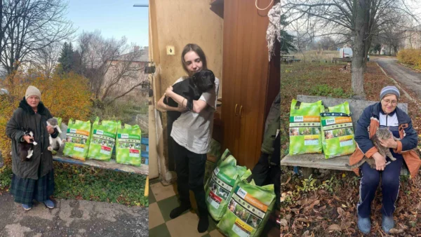 UAnimals передали понат 4,7 тонни корму та обробки тваринам у прифронті