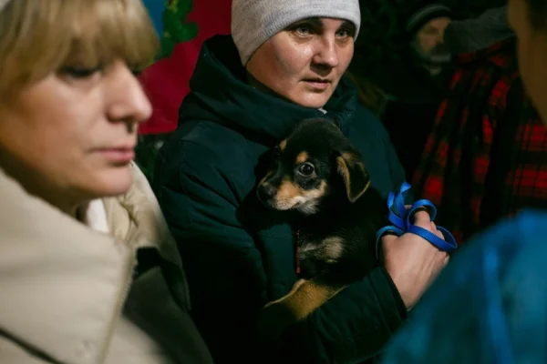 UAnimals завершили ветеринарі місії на Харківщині 