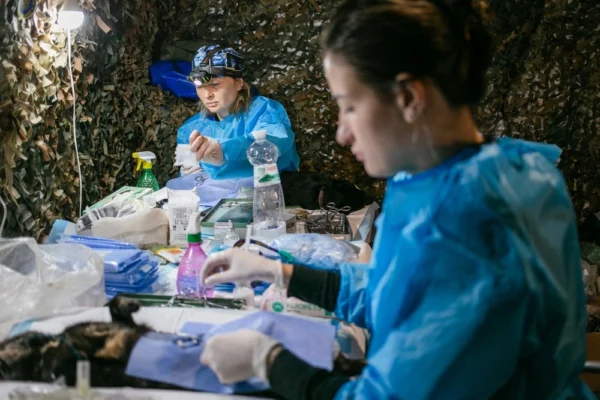 UAnimals завершили ветеринарні місії на Харківщині