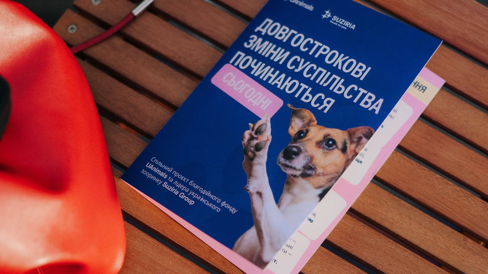 UAnimals запрошує на безкоштовний вебінар про гуманну освіту