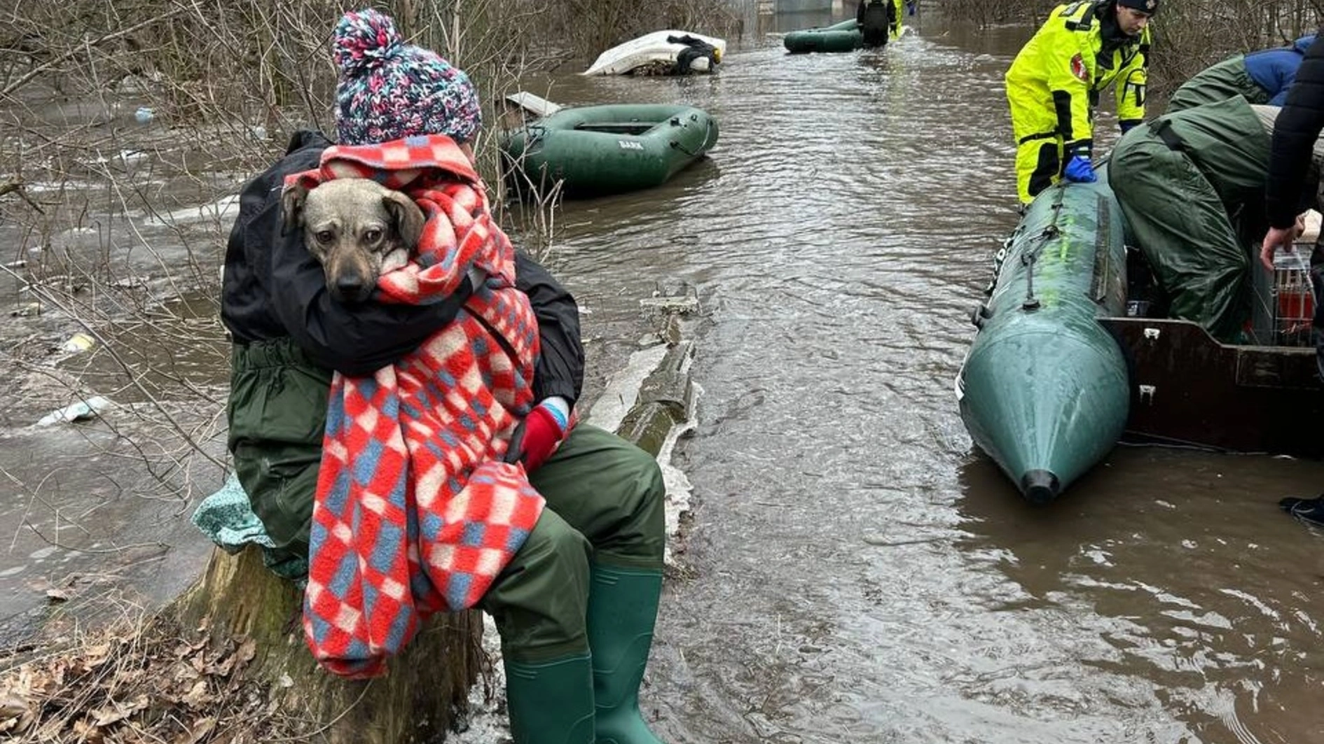 Відкриваємо терміновий збір на допомогу для притулків, які затопило через повінь