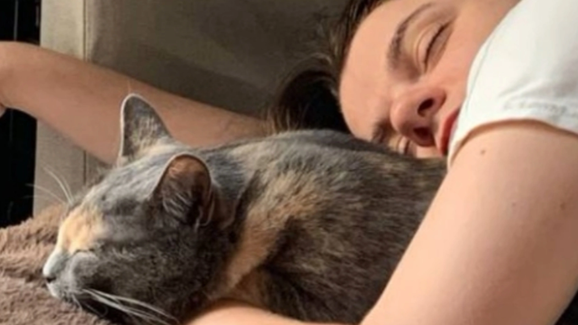 UAnimals і Лана Чубаха випустили пісню про любов людей і тварин