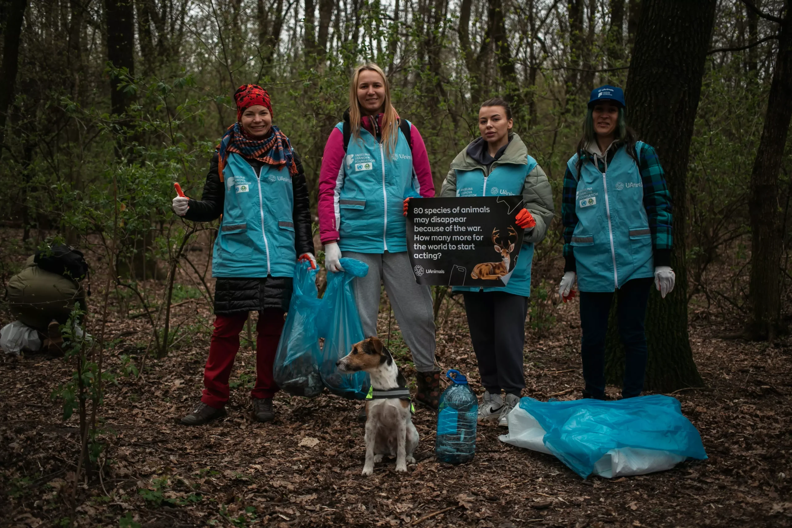 Результати спільної роботи UAnimals і Фонду Ангеліни Усанової 