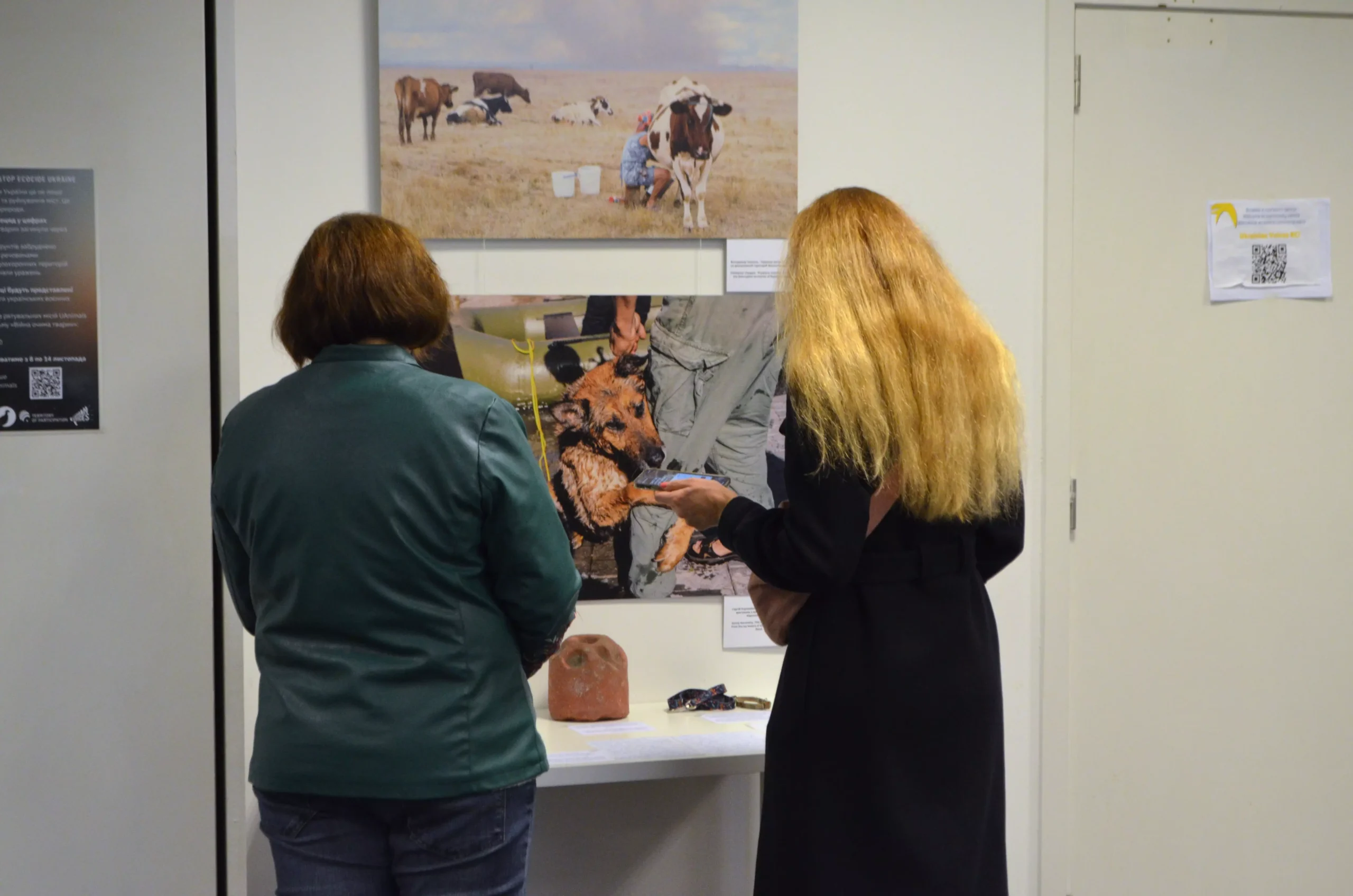 UAnimals провели у Брюсселі виставку #StopEcocideUkraine