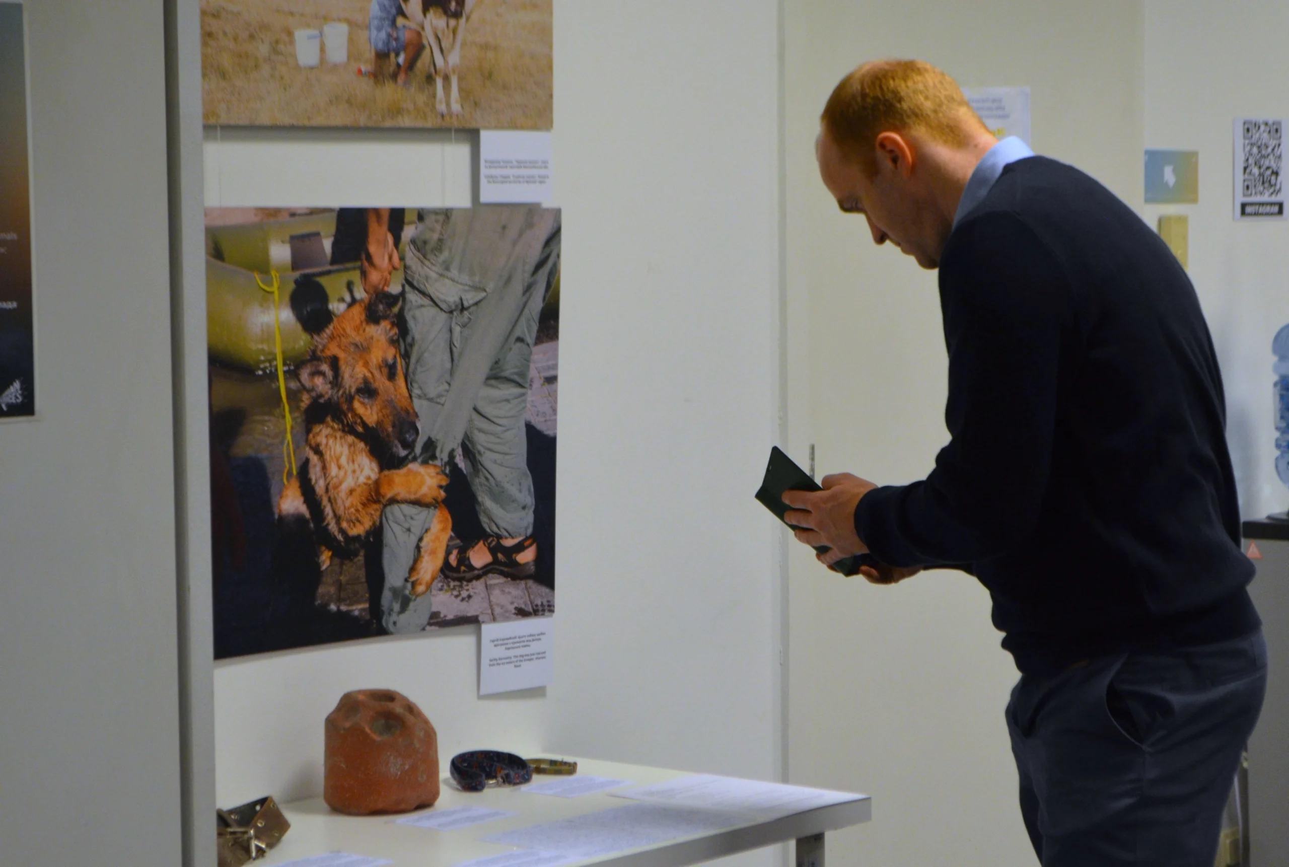 UAnimals провели у Брюсселі виставку #StopEcocideUkraine