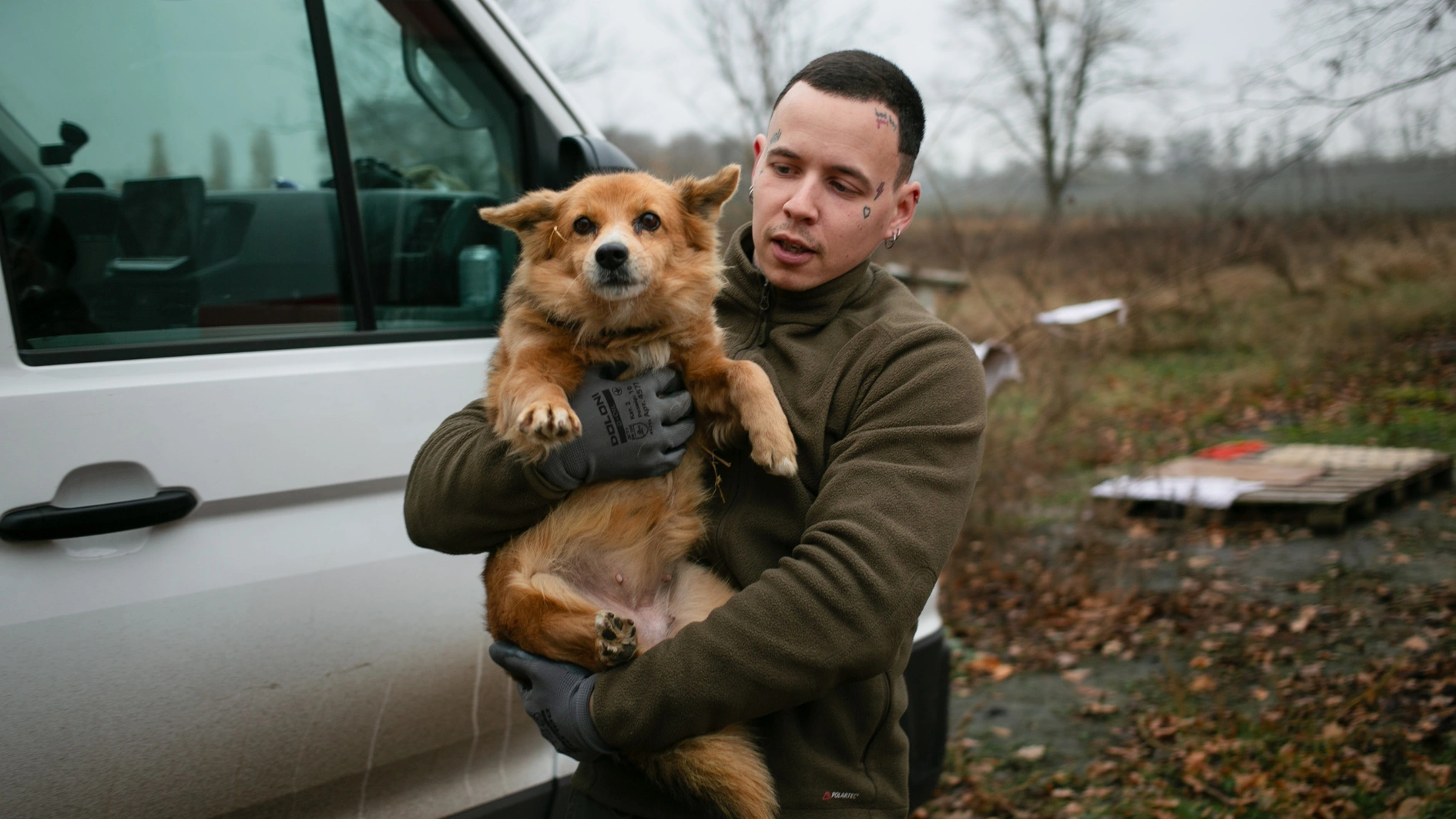 155 000 тварин отримали допомогу: що UAnimals зробили у 2025 році