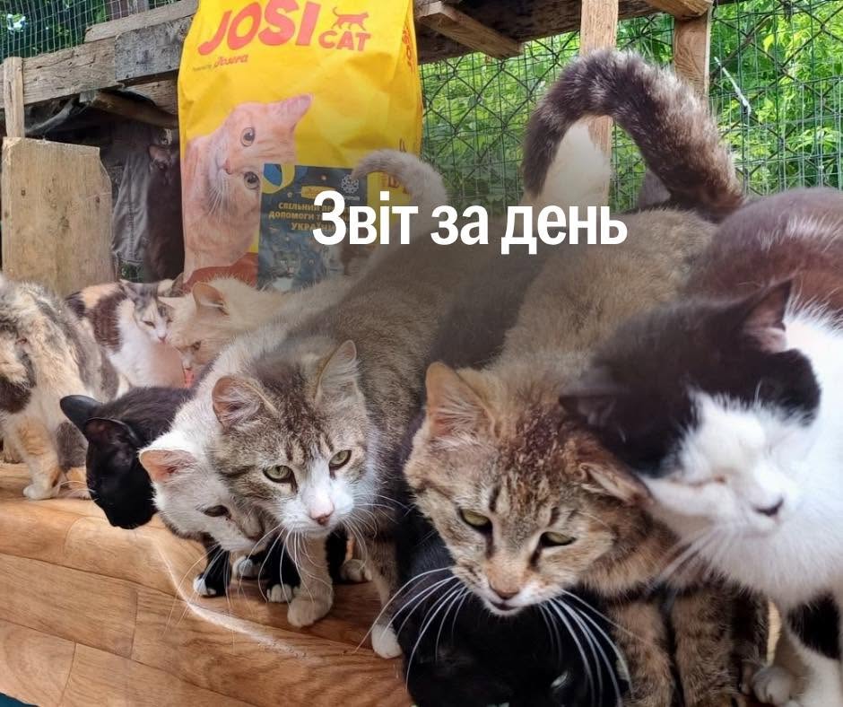📌 1 570 день повномасштабної війни