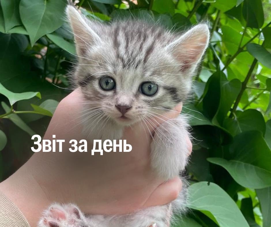 📌 1 569 день повномасштабної війни