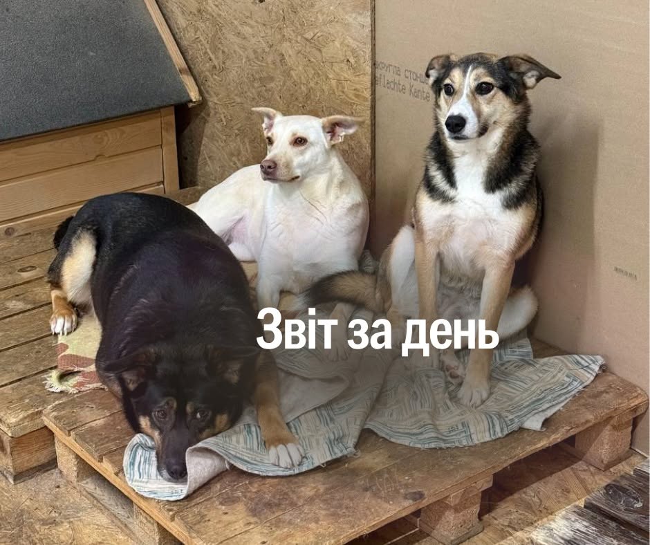 📌 1 572 день повномасштабної війни
