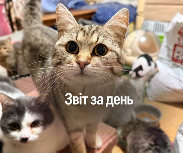 📌 1 571 день повномасштабної війни