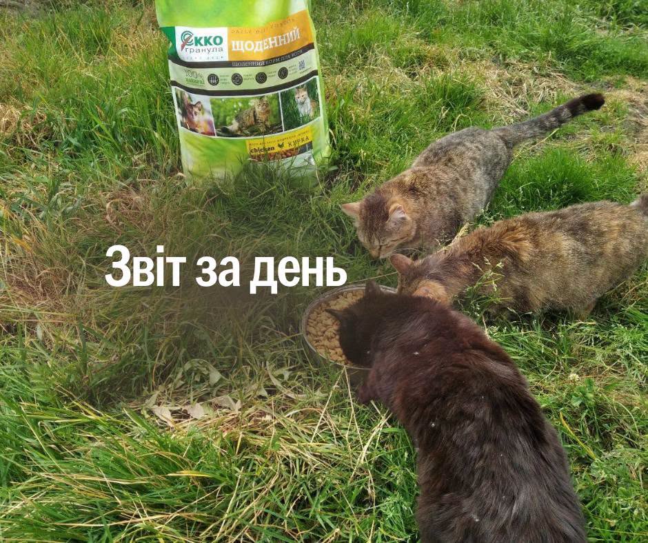 📌 1 603 день повномасштабної війни