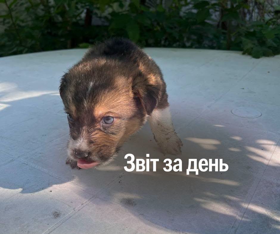 📌 1 610 день повномасштабної війни