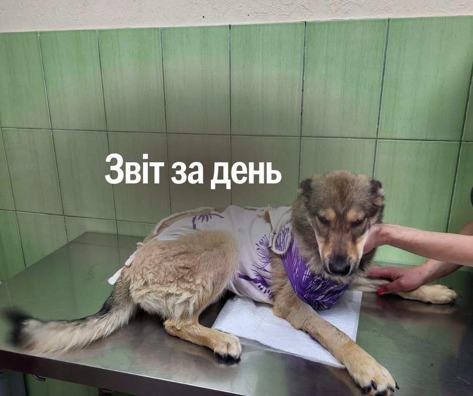 📌 1 611 день повномасштабної війни