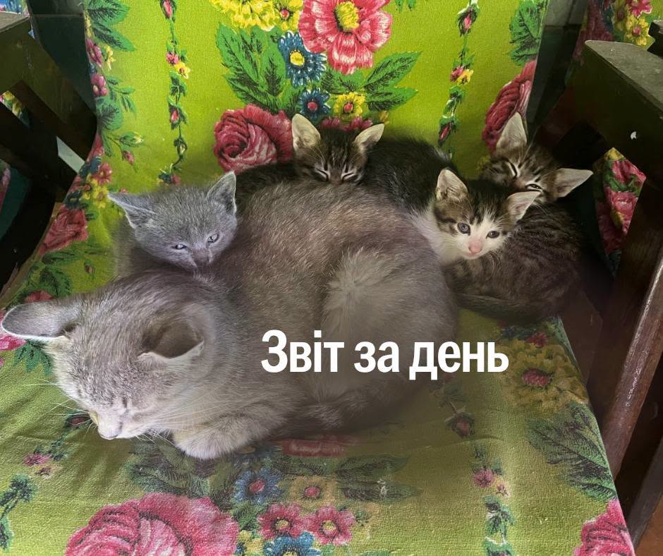 📌 1 614 день повномасштабної війни