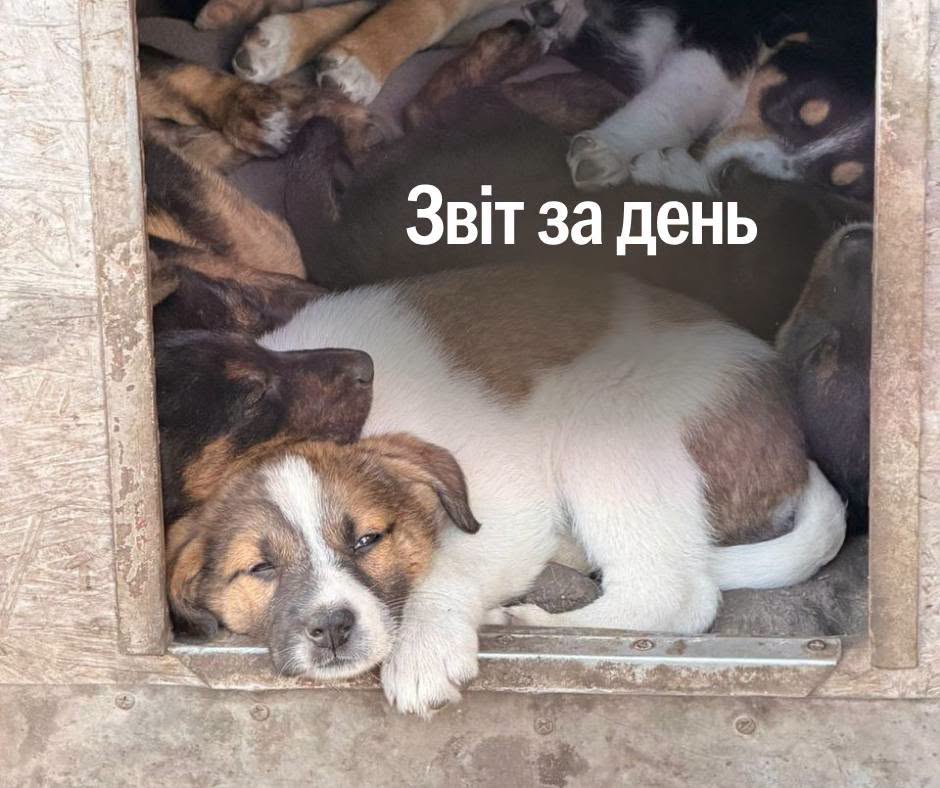 📌 1 613 день повномасштабної війни
