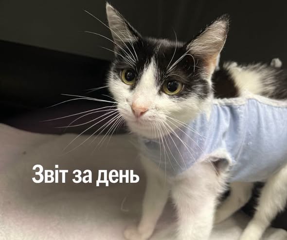 📌 1 617 день повномасштабної війни