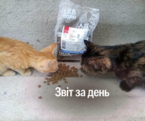 📌 1 618 день повномасштабної війни