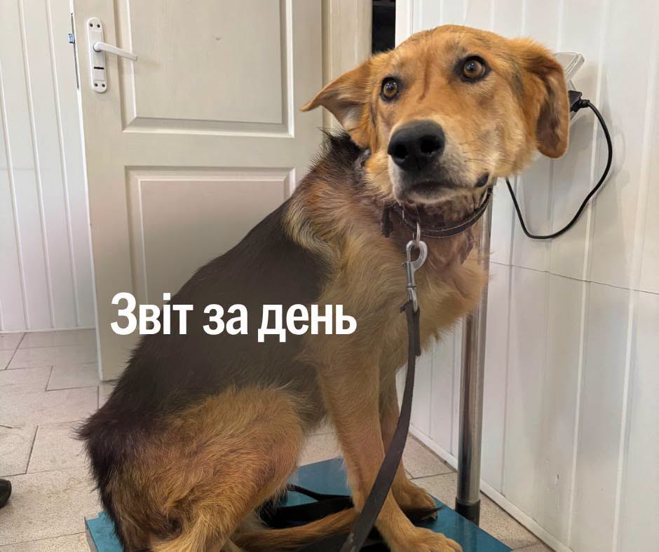 📌 1 619 день повномасштабної війни
