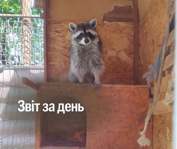 📌 1 624 день повномасштабної війни