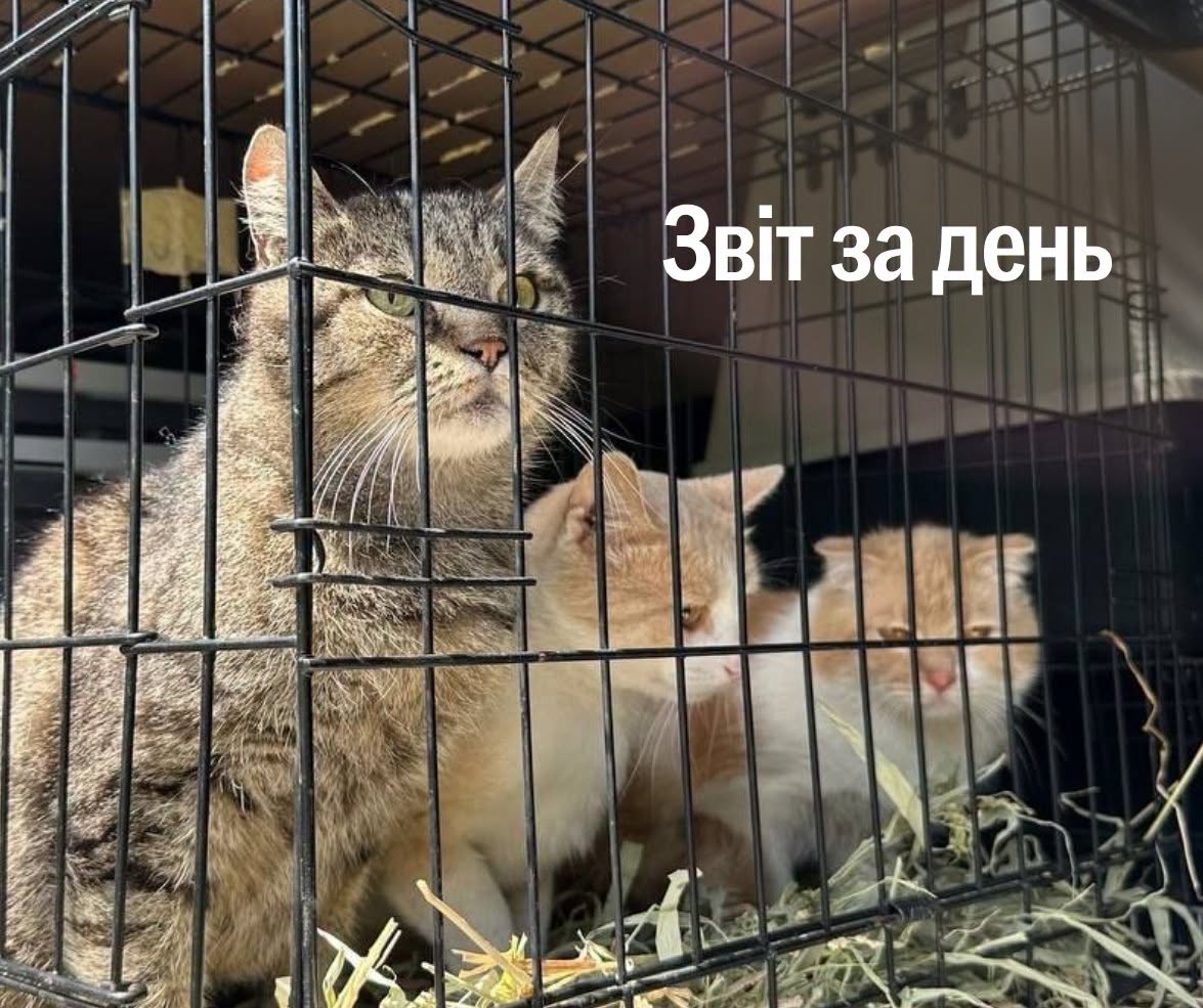 📌 1 626 день повномасштабної війни