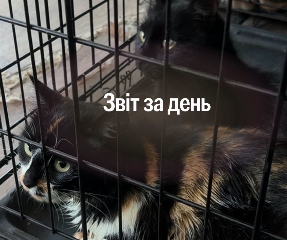 📌 1 628 день повномасштабної війни
