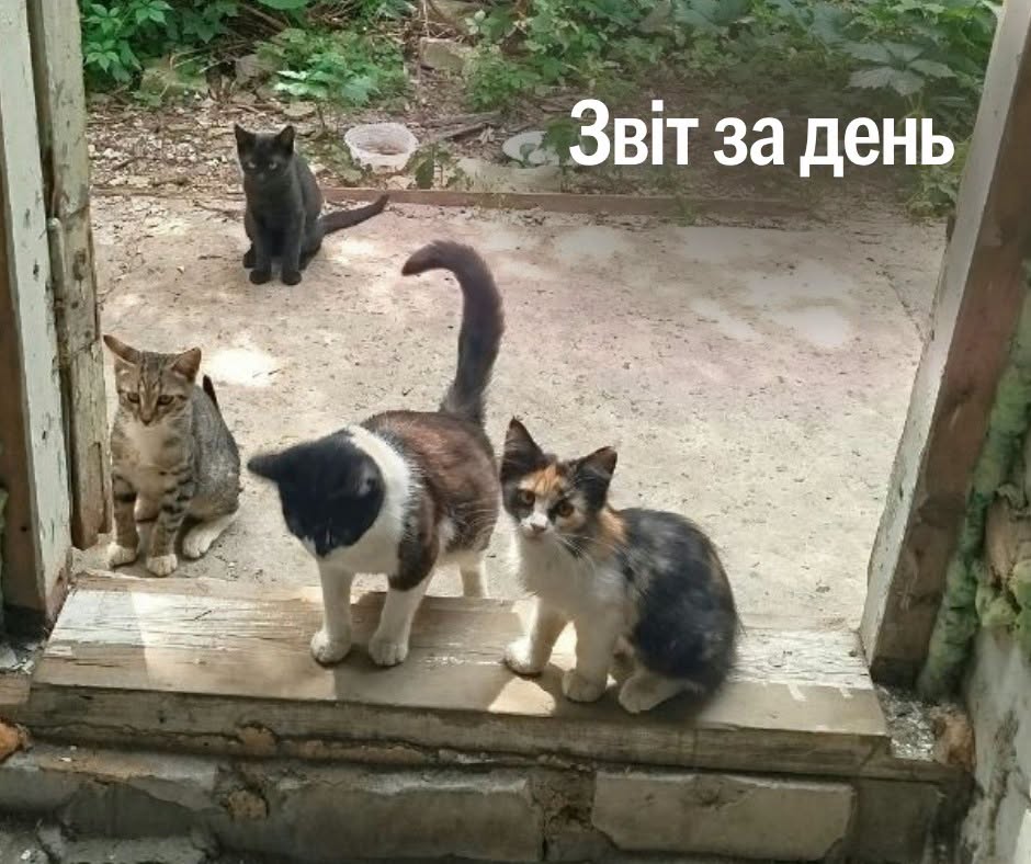 📌 1 629-й день повномасштабної війни