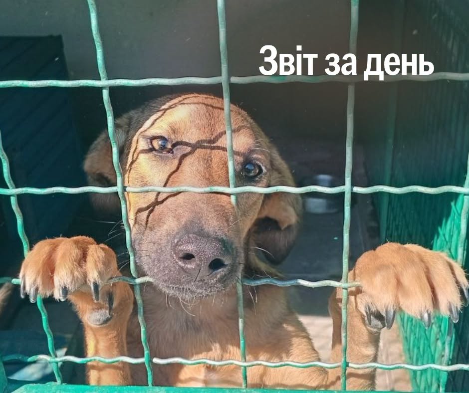 📌 1 630-й день повномасштабної війни