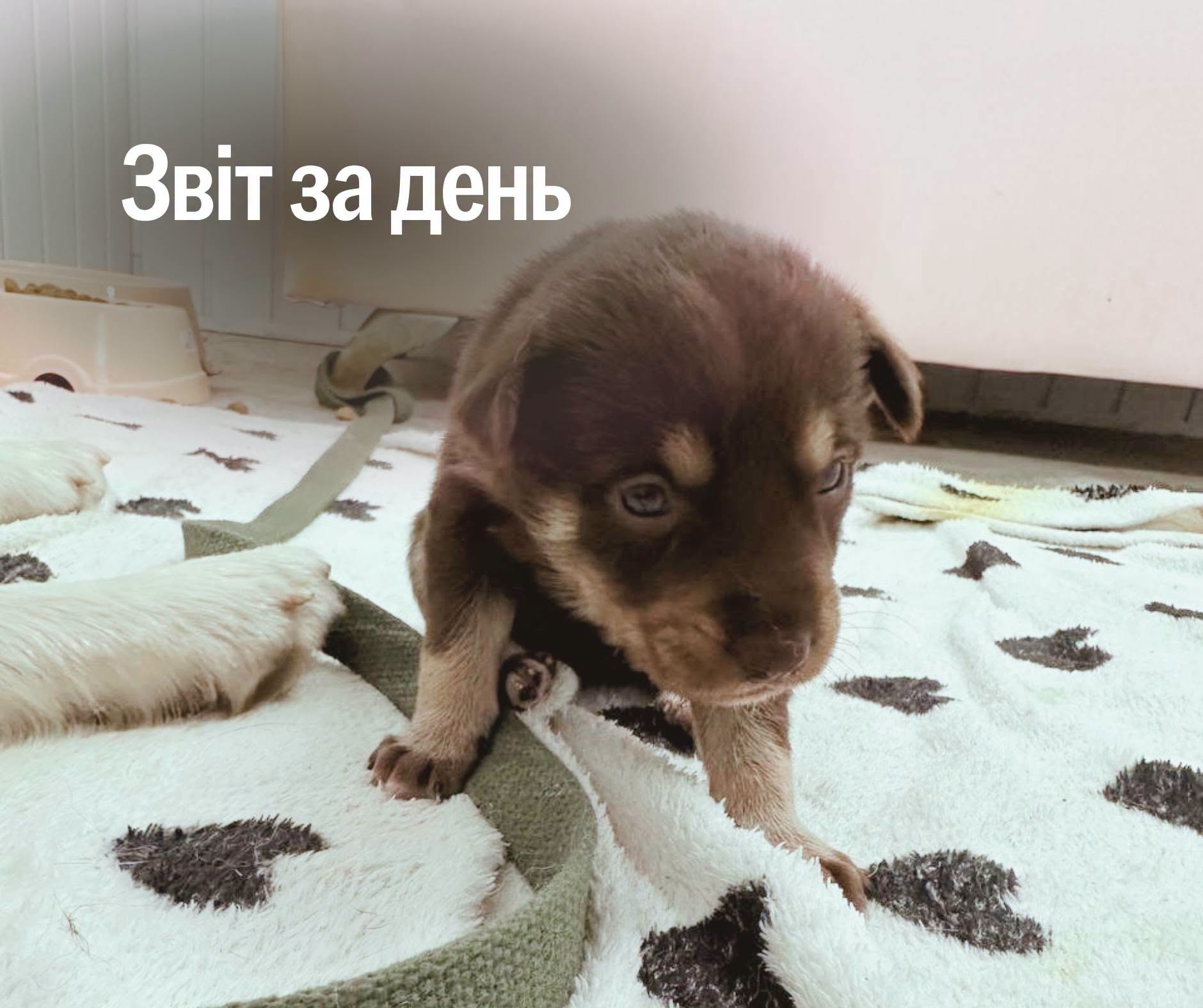 📌 1 631-й день повномасштабної війни