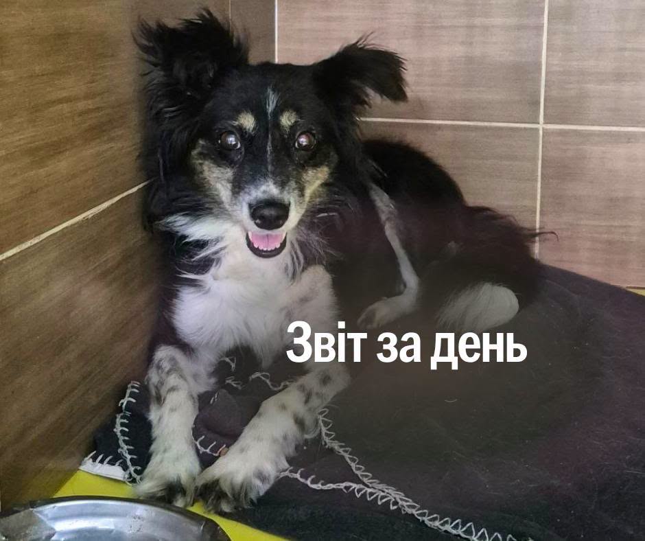 📌 1 634 день повномасштабної війни