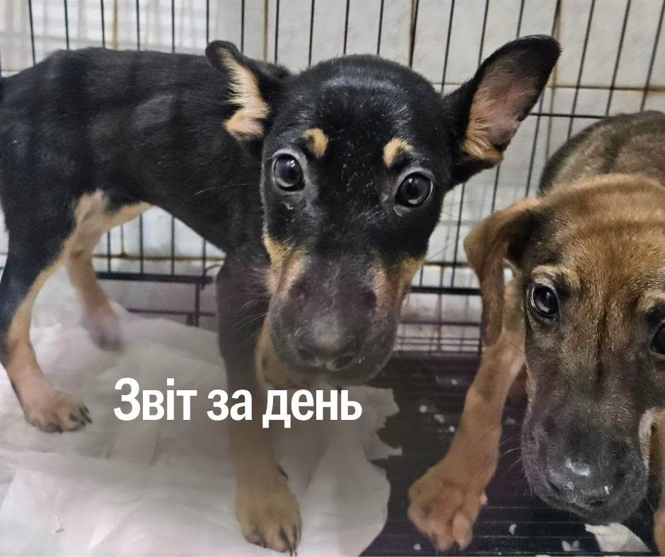 📌 1 635 день повномасштабної війни