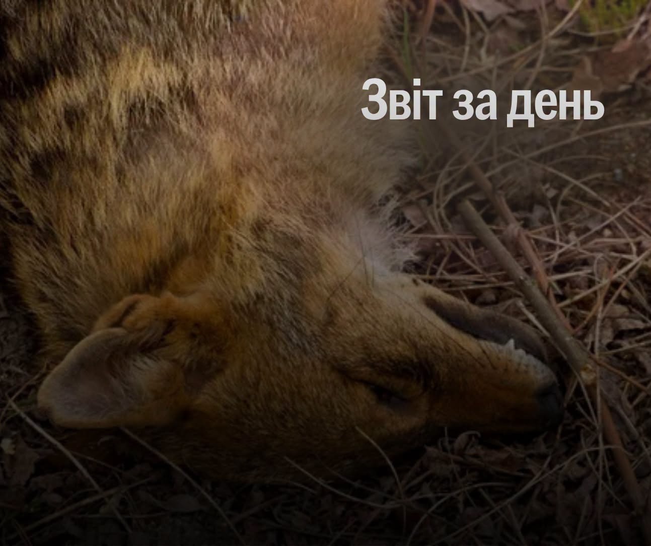 📌 1 635 день повномасштабної війни