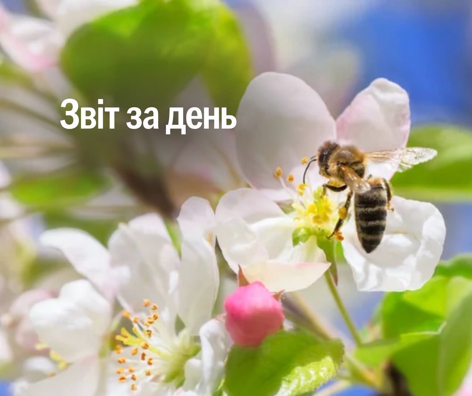 📌 1643-й день повномасштабної війни