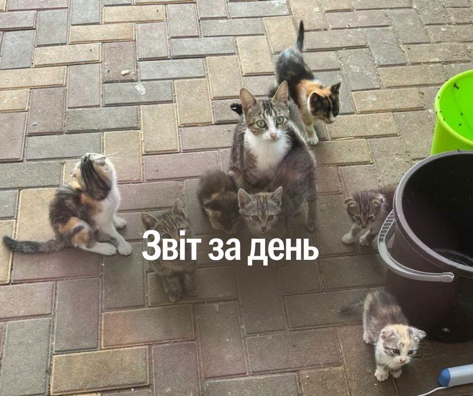 📌 1 638-й день повномасштабної війни