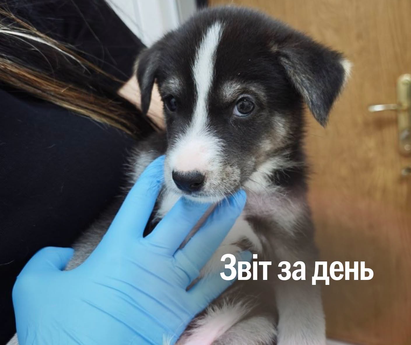 📌 1647-й день повномасштабної війни