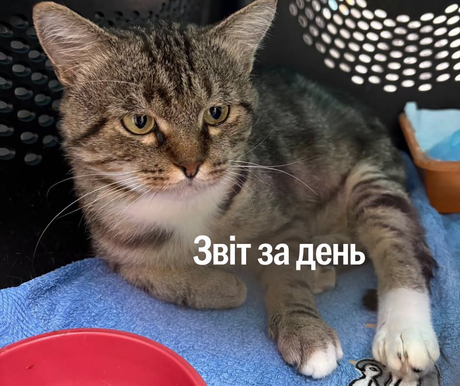 📌 1648-й день повномасштабної війни