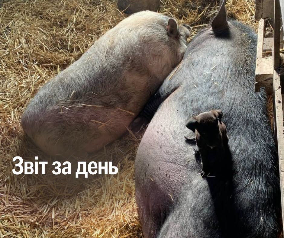 📌 1654-й день повномасштабної війни