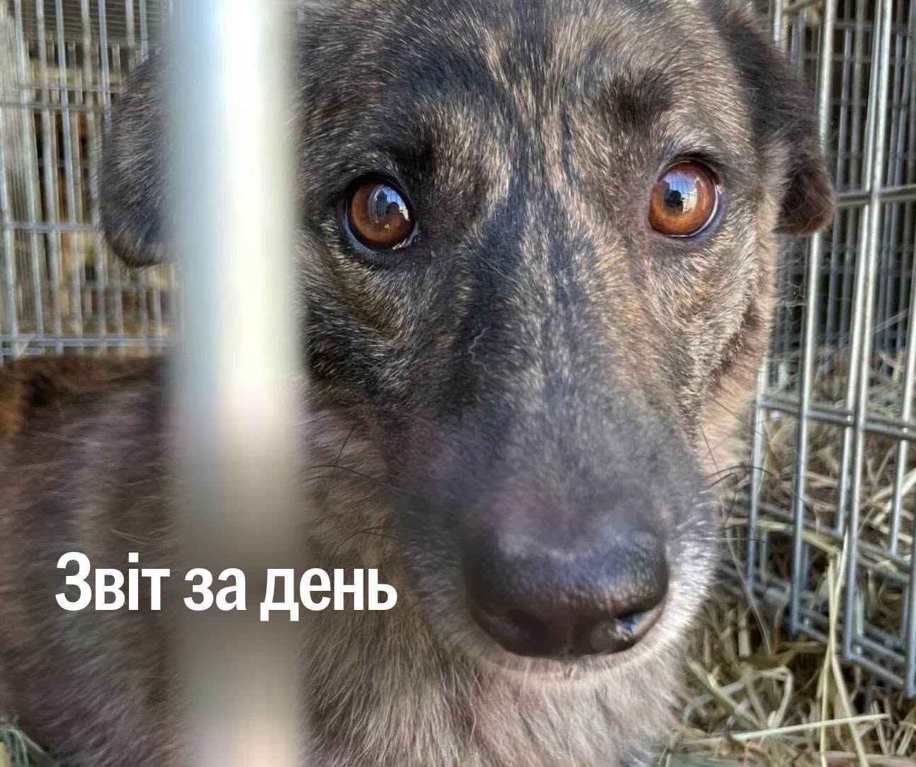 📌 1671-й день повномасштабної війни