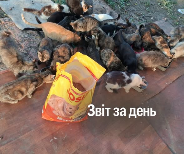 📌 1655-й день повномасштабної війни