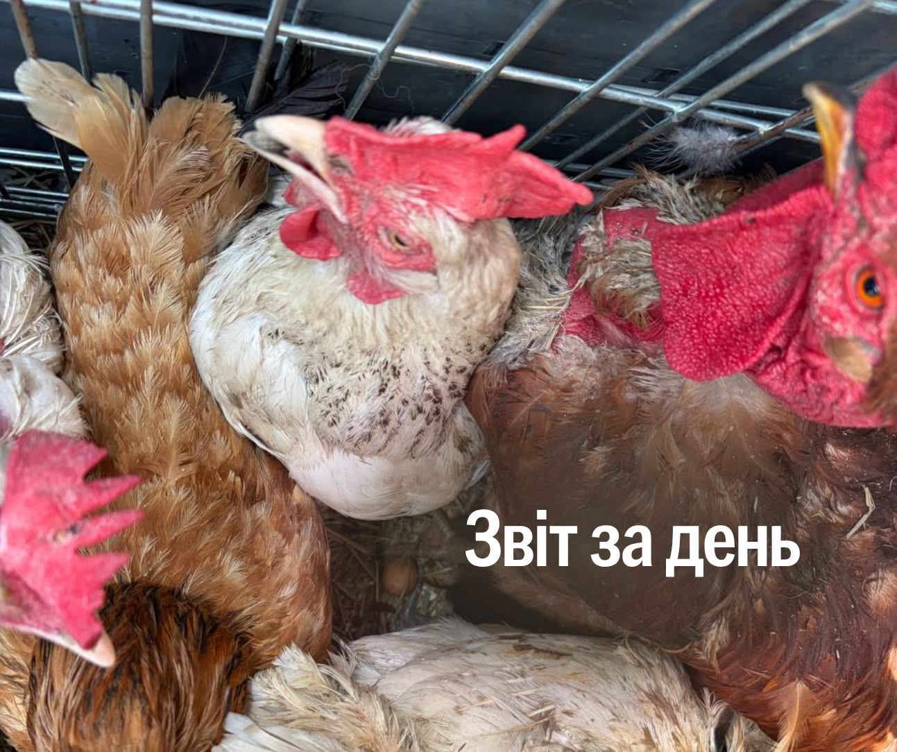📌 1657-й день повномасштабної війни