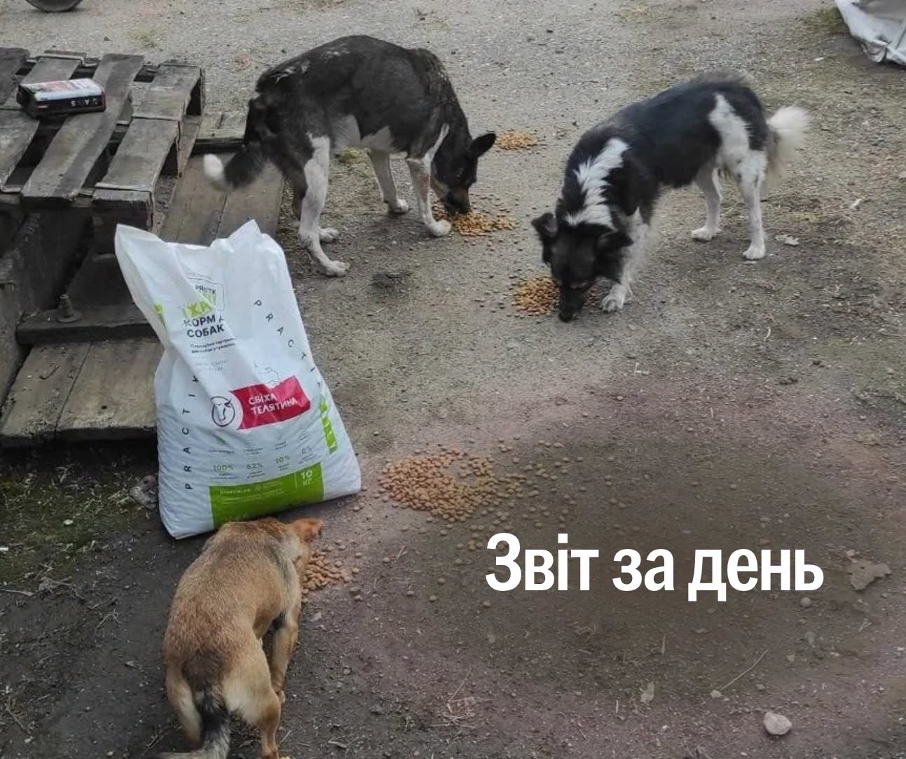 📌 1661-й день повномасштабної війни