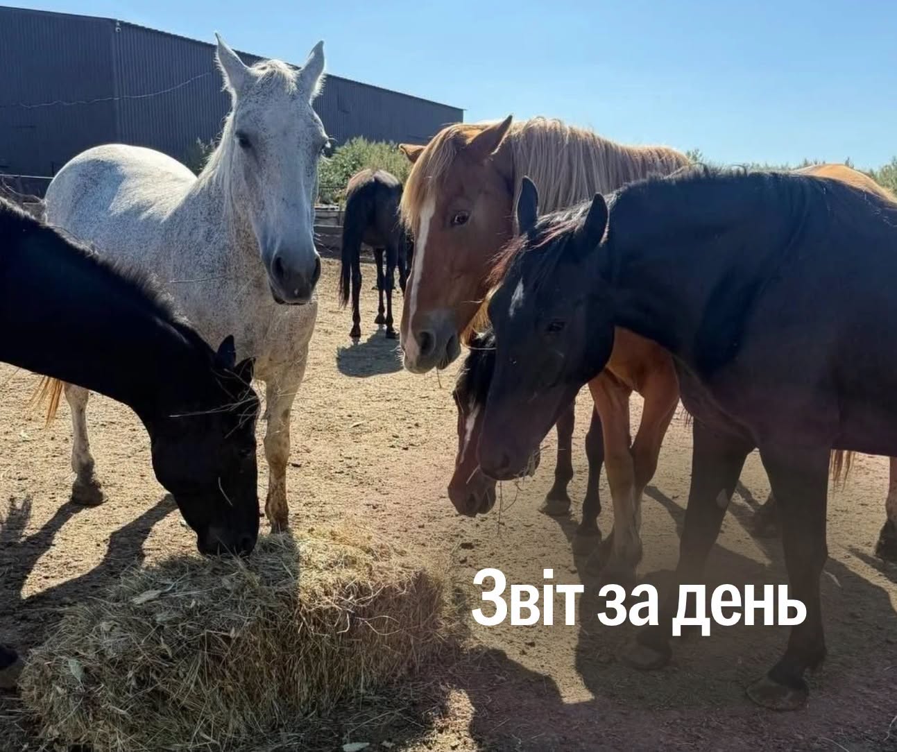 📌 1664-й день повномасштабної війни