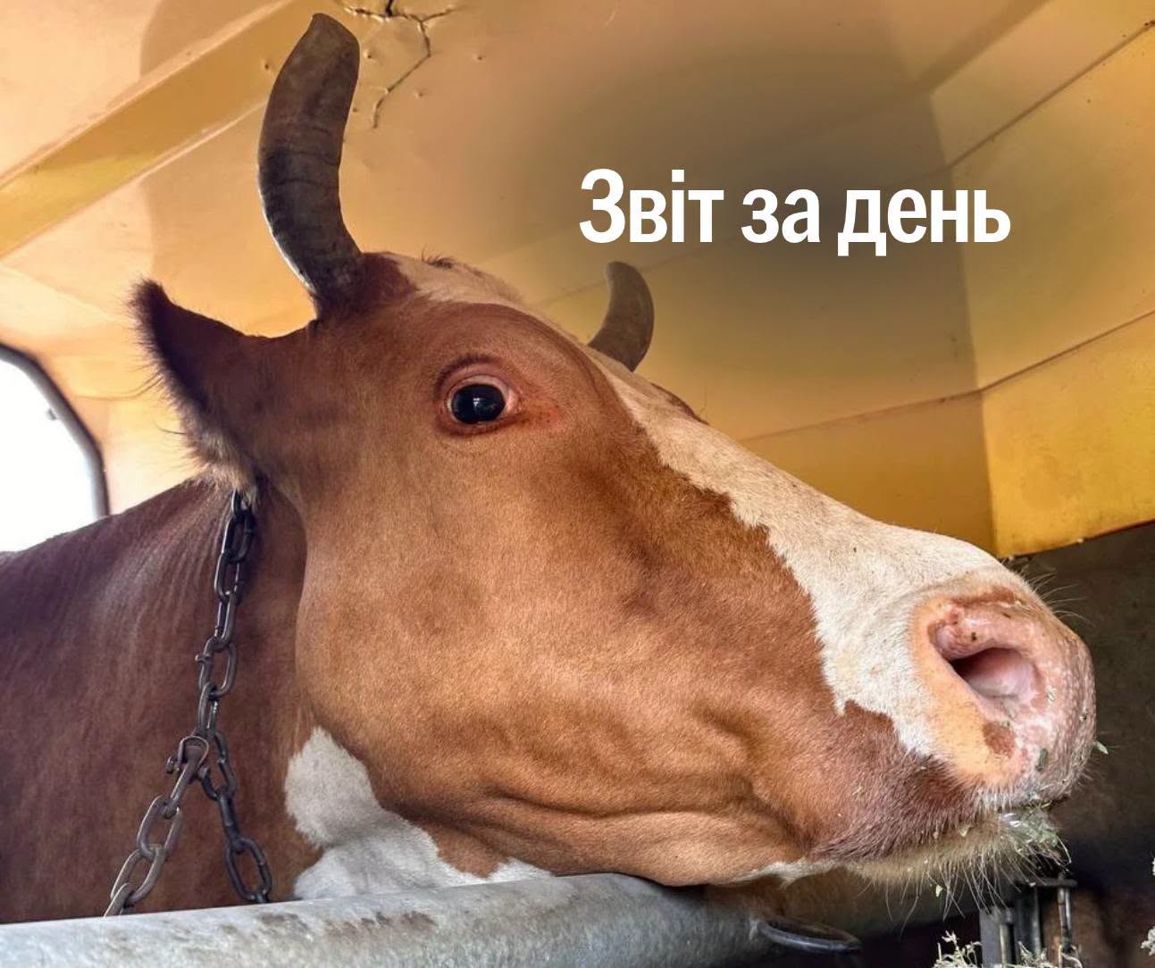 📌 1665-й день повномасштабної війни