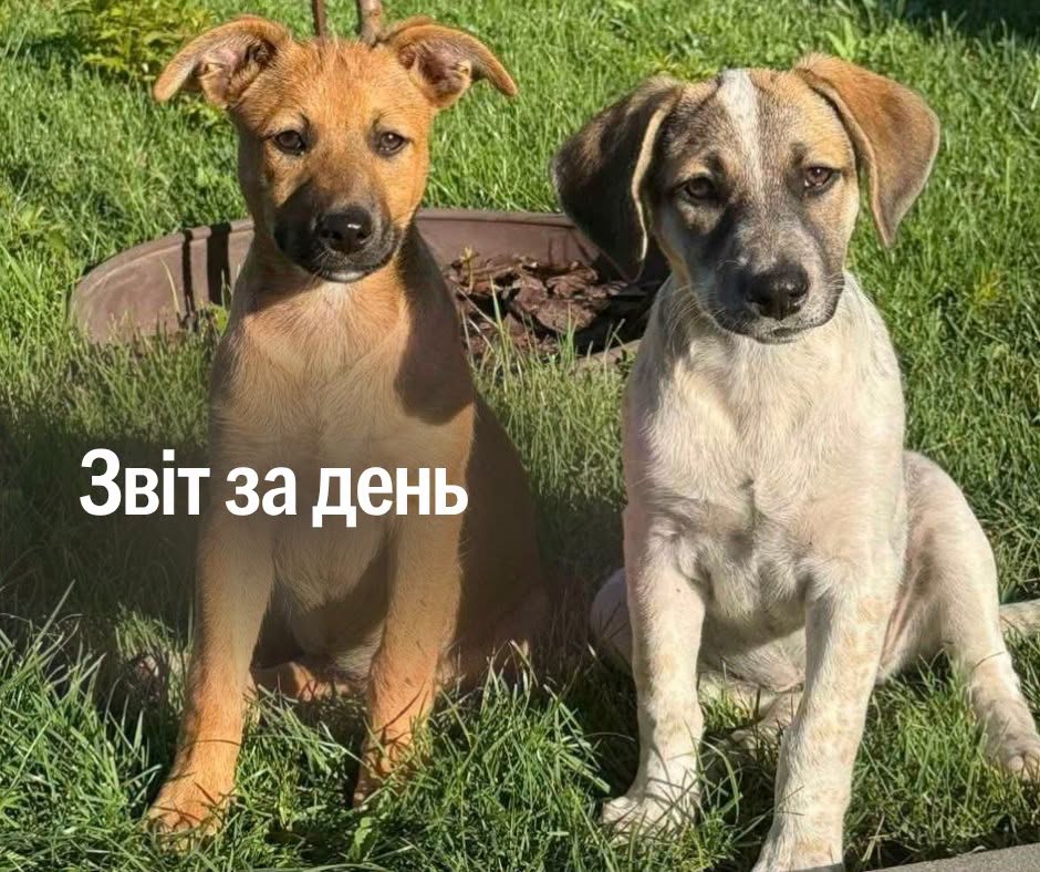 📌 1673-й день повномасштабної війни