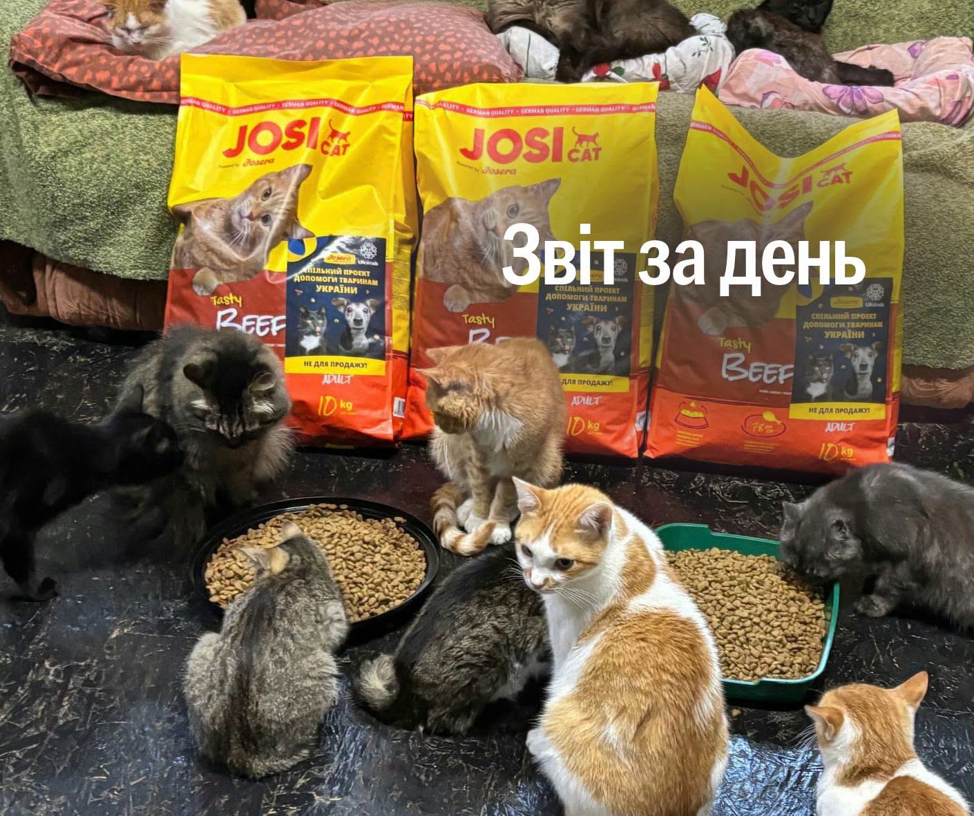 📌 1675-й день повномасштабної війни