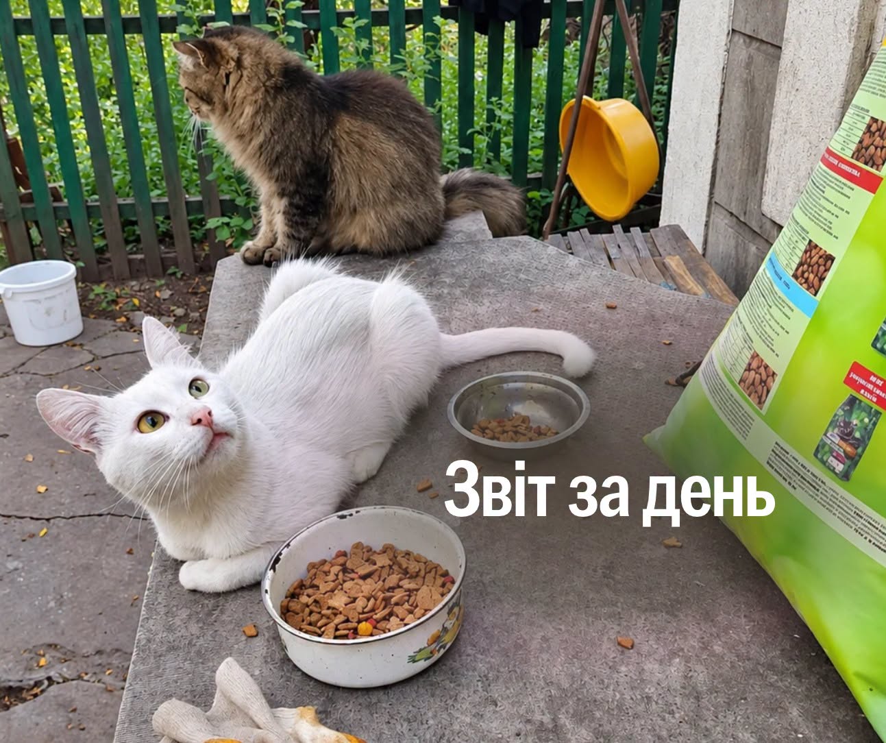 📌 1678-й день повномасштабної війни