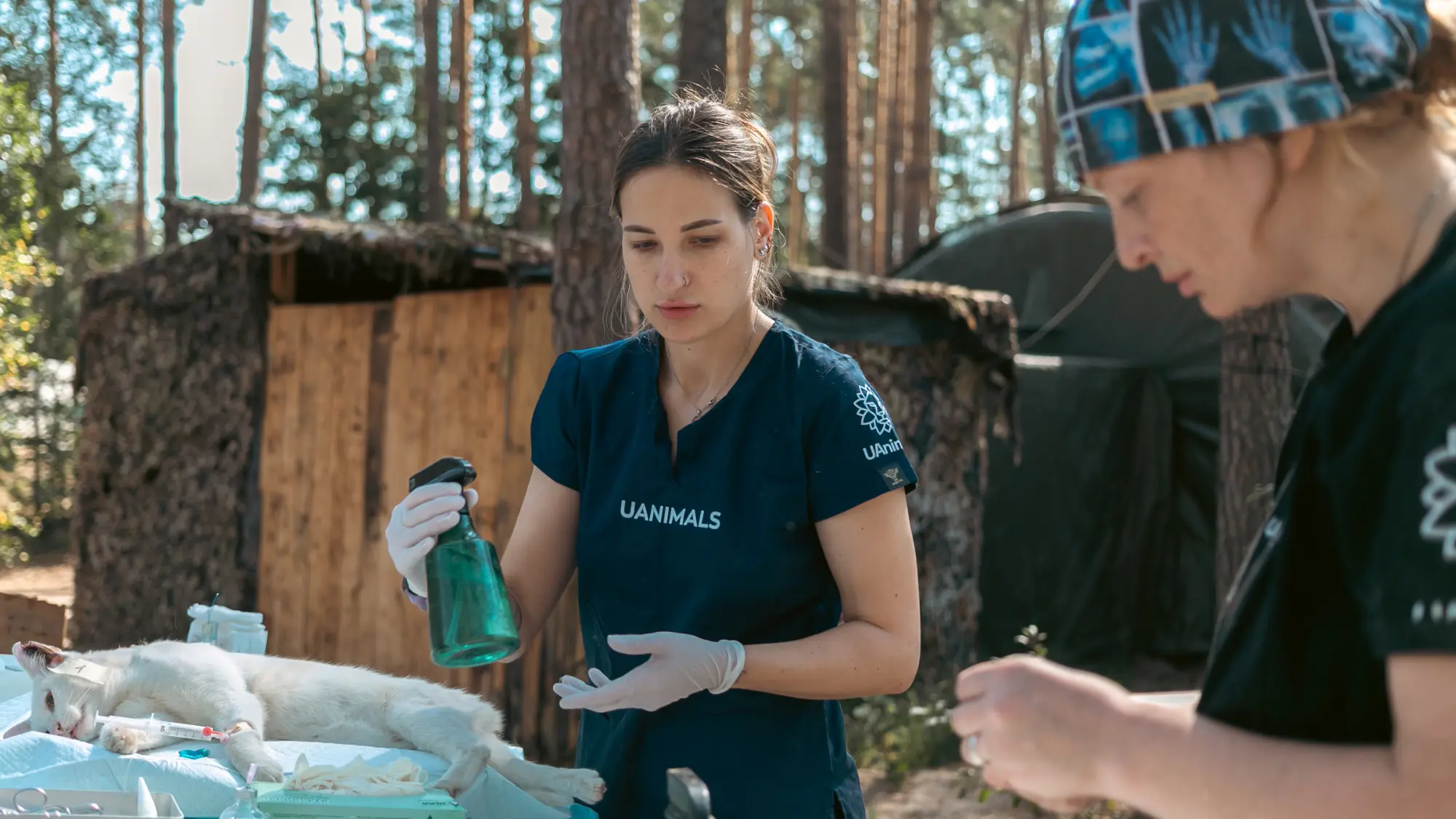 UAnimals провели ветмісію на військовому полігоні